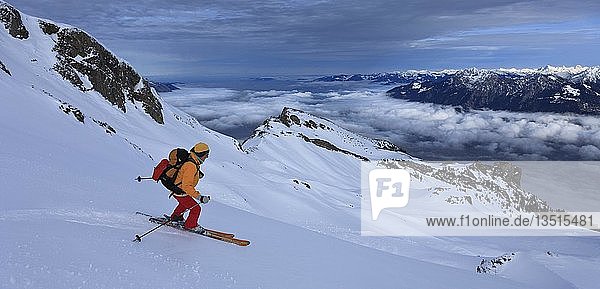 Skitour  Skifahrerin bei der Abfahrt vom Alvier  Nebel über dem Rheintal  Alviergruppe  Appenzeller Alpen  Kanton St. Gallen  Schweiz  Europa