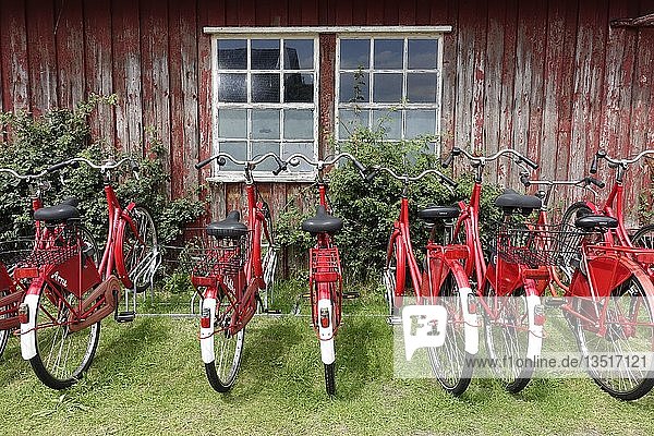 Rote Fahrräder vor einem Holzhaus  Fahrradverleih  Norderney  Niedersachsen  Deutschland  Europa
