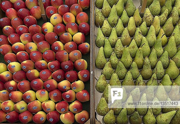 Äpfel (Malus) und Birnen (Pyrus) in Kisten an einem Obststand  Niederlande
