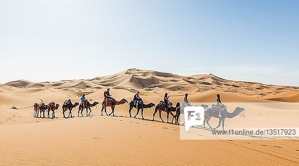 Touristen reiten auf Dromedaren (Camelus dromedarius)  Karawane durch Sanddünen in der Wüste  Erg Chebbi  Merzouga  Sahara  Marokko  Afrika