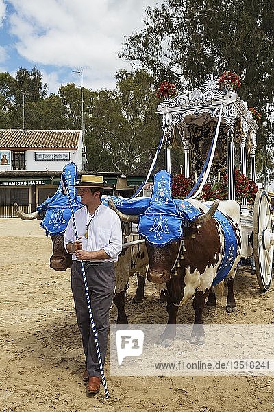 Verzierte Ochsenkarren Leute in traditioneller Kleidung Pfingsten Wallfahrt von EL Rocio Huelva-Provinz Andalusien Spanien Europa