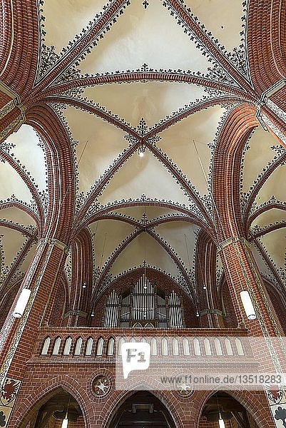 Orgelempore  Orgel von 1895  Stadtkirche St. Maria und St. Nikolaus  gotische Hallenkirche 1309  Sternberg  Mecklenburg-Vorpommern  Deutschland  Europa