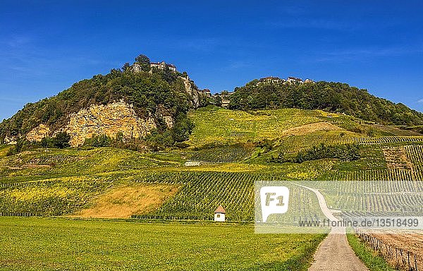 Weinberge von Chateau-Chalon, Jura, Bourgogne-Franche-Comté, Frankreich, Europa