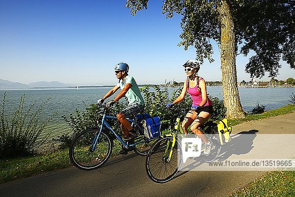 Cyclists on the Lake Chiemsee cycle path near Seebruck  Chiemgau  Upper Bavaria  Bavaria  Germany  Europe