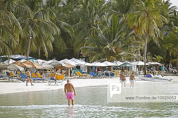 Playa Boca Chica  Palm Beach  Boca Chica  Provinz Santo Domingo  Dominikanische Republik  Mittelamerika