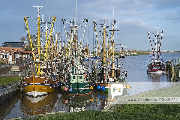 Im Fischereihafen vertäute Fischerboote  Greetsiel  Niedersachsen  Deutschland  Europa