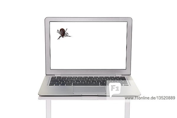 Laptop mit einem Häkchen  symbolisch für Computerviren