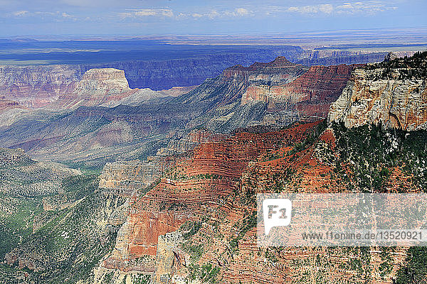 Grand Canyon North Rim bei Sonnenuntergang  Arizona  USA  Nordamerika