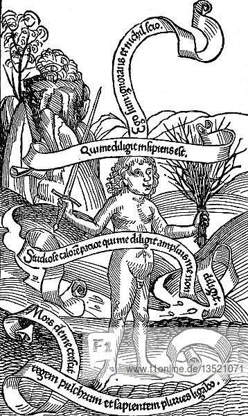 Allegorie der Unwissenheit  die Strafen  die sie nach sich zieht  werden durch Rute und Schwert symbolisiert  Holzschnitt  1480  England
