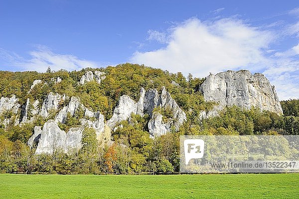 Jurakalksteinfelsen  Rabenfelsen  rechts  im herbstlichen Donautal bei Thiergarten  Landkreis Sigmaringen  Baden-Württemberg  Deutschland  Europa  Europa