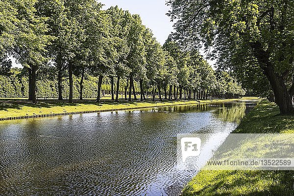 Baumallee am Kanal  Schlosspark  Schwerin  Mecklenburg-Vorpommern  Deutschland  Europa
