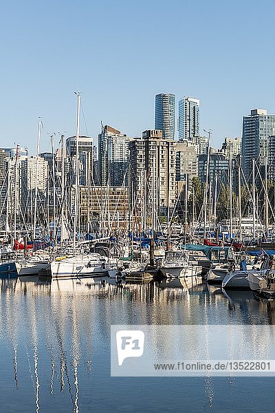 Yachthafen mit Segelbooten  hinteres Stadtzentrum mit Wolkenkratzern  Coal Harbour  Vancouver  British Columbia  Kanada  Nordamerika