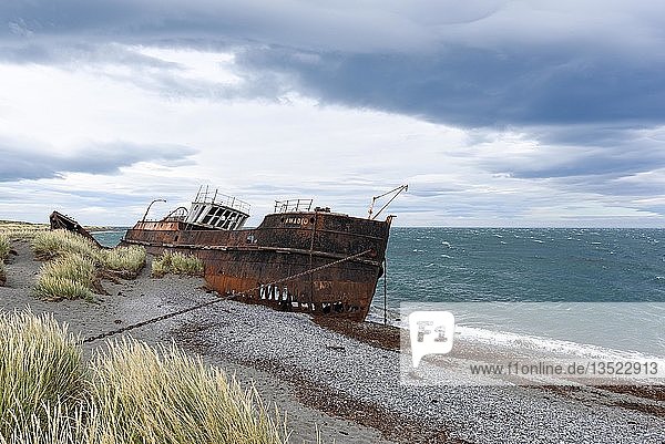 Shipwreck of the Amadeo San Gregorio near Punta Arenas Magellan Strait Patagonia Chile South America