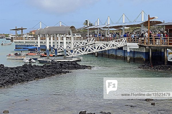 Wharf and jetties as a starting point for Galapagos cruises on the harbour of Puerto Ayora  Santa Cruz Island  Indefatigable Island  Galapagos Archipelago  Ecuador  South America