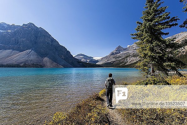 Wanderer am Bow Lake  Bow Glacier  Banff National Park  Kanadische Rockies  Alberta  Kanada  Nordamerika