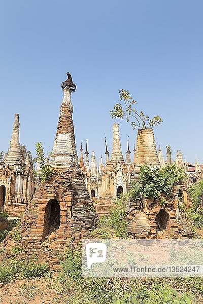Alte buddhistische Stupas der Shwe Inn Thein Paya  Pagodenkomplex  Inthein  Indein  Shan-Staat  Myanmar  Asien