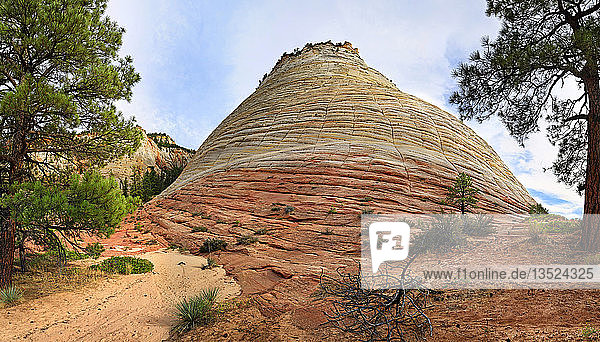 The Checkerboard Mesa a table mountain checkerboard patterns created by the erosion of Navajo sandstone rocks Zion National Park Utah United States North America