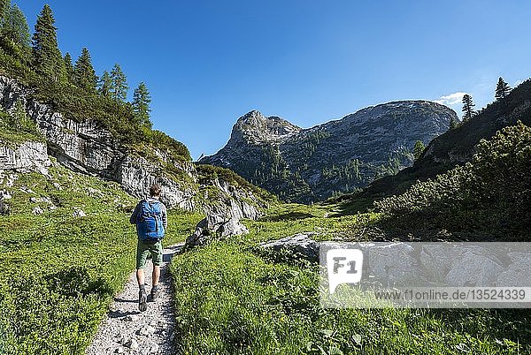 Hiker on trail to Kärlingerhaus  behind Viehkogel summit  Berchtesgaden National Park  Berchtesgadener Land  Upper Bavaria  Bavaria  Germany  Europe