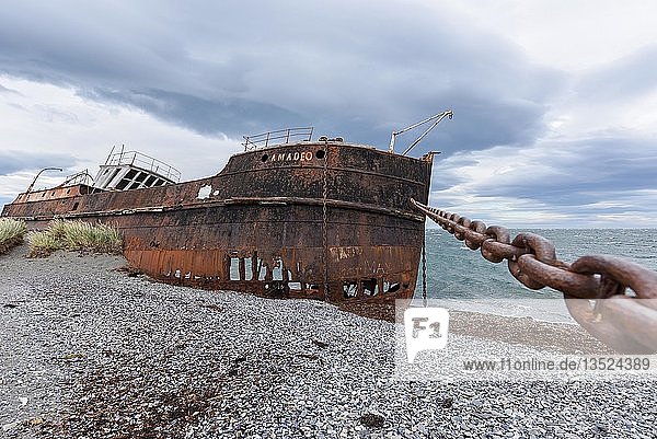 Shipwreck of the Amadeo San Gregorio near Punta Arenas Magellan Strait Patagonia Chile South America