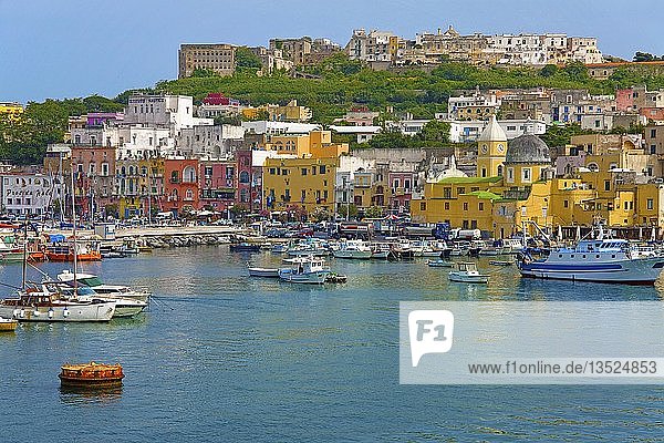 Fischerboote im Hafen Kirche Santa Maria della Pieta Felsenfestung Terra Murata Procida Golf von Neapel Kampanien Italien Europa