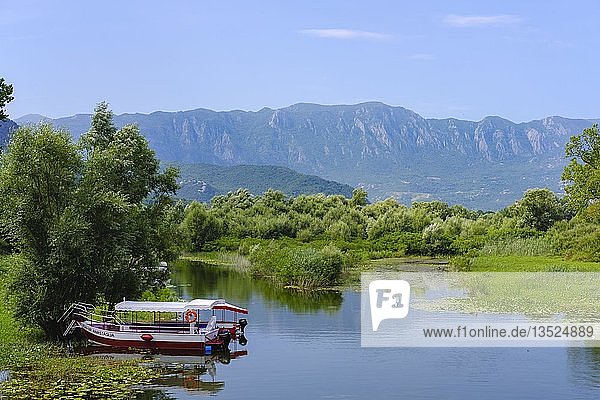 Ausflugsboote  Virpazar  Skadar-See  Skadarsko Jezero  Skadar-See-Nationalpark  bei Bar  Montenegro  Europa