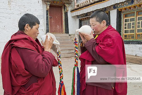 Buddhist nuns in the Terdom monastery call with the conch horn  nunnery Tidro Gompa  terdrom  Tirdrom  Tibet  China  Asia