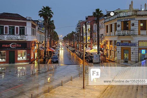 Palmengesäumte Gasse im Stadtzentrum  Bulevardi Epidamni  Durres  Durrës  Albanien  Europa