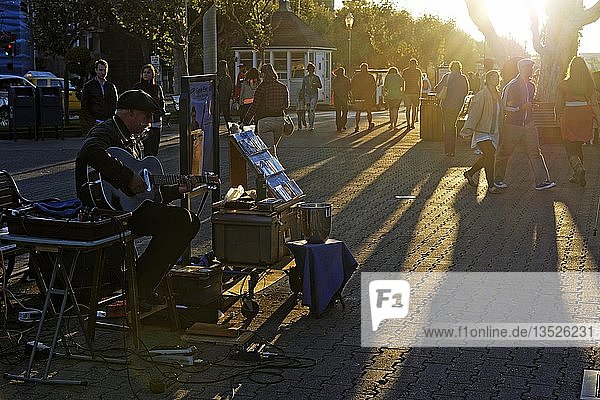 Street musician playing at the Fisherman Wharf in the evening light  San Francisco  California  USA  North America