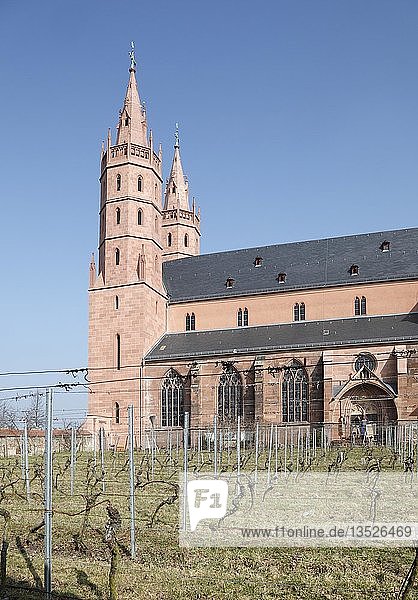 Gotische Liebfrauenkirche  Liebfrauenkirche  Worms  Rheinland-Pfalz  Deutschland  Europa