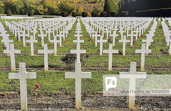 Verdun  French military cemetery at the Ossuaire de Douaumont  Verdun  Département Meuse  France  Europe