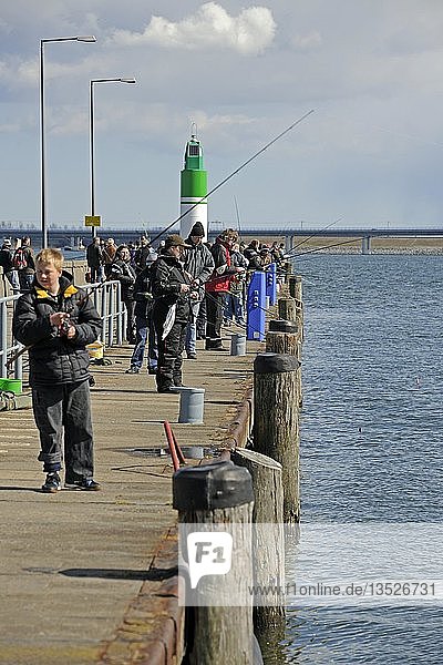 Angler auf der Seebrücke beim Heringsfang im historischen Hafen von Stralsund  Mecklenburg-Vorpommern  Deutschland  Europa  PublicGround  Europa