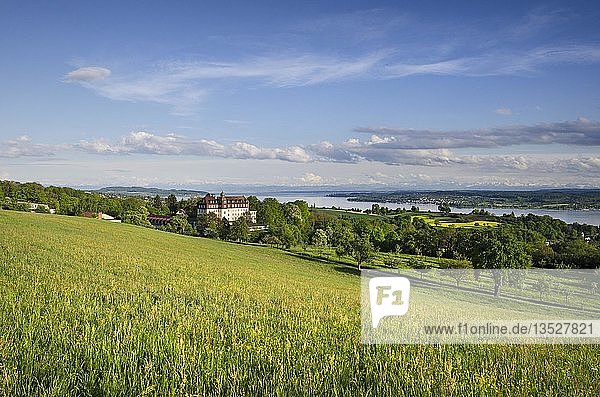 Blick über ein Feld zum Schloss Spetzgart bei Überlingen  im Hintergrund der Bodensee und die Schweizer Alpen  Bodenseekreis  Baden-Württemberg  Deutschland  Europa