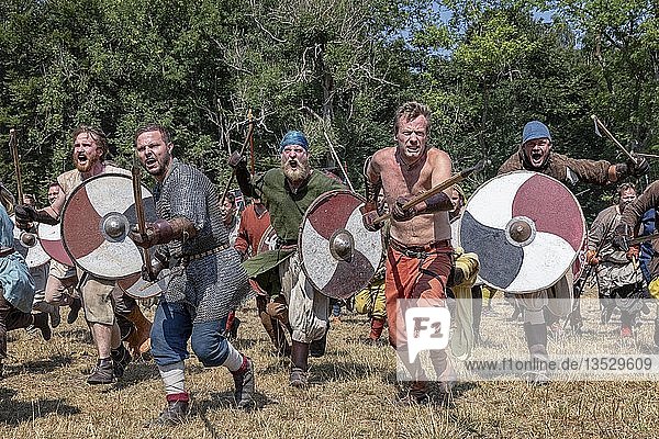 Battle reenactment at the worlds biggest Viking Moot  Mosegaard Viking Moot  Aaarhus  Denmark  Europe