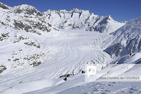 Aletschgletscher im Winter  Wallis  Schweiz  Europa