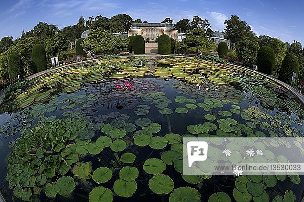 Seerosenteich Fisheye Maurisches Landhaus Zoologisch-Botanischer Garten Wilhelma Stuttgart Baden-Württemberg Deutschland Europa