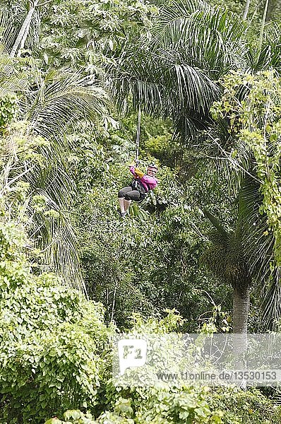 Frau  40 Jahre  fährt an einer Zipline durch den Dschungel  Provinz Samaná  Dominikanische Republik  Mittelamerika