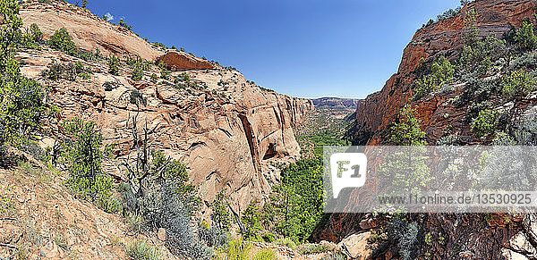 Blick in den Betatakin Canyon  Flagstaff  Arizona  Vereinigte Staaten  Nordamerika