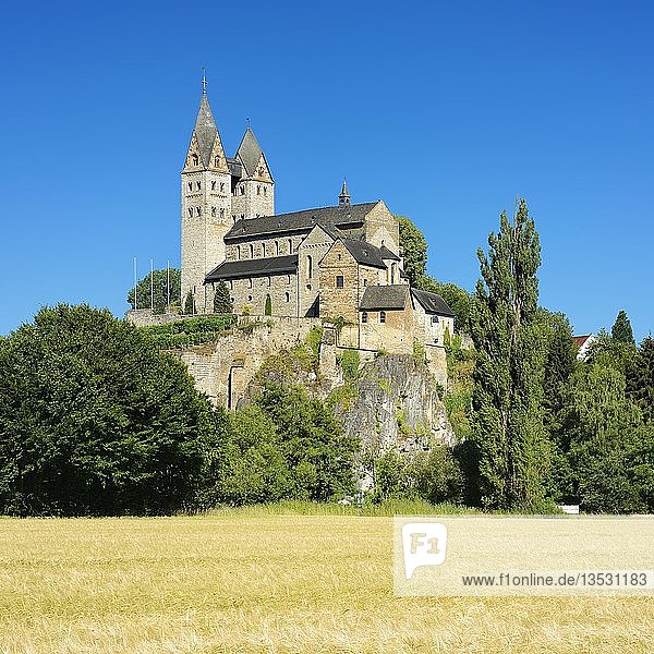Kirche St. Lubentius in Dietkirchen an der Lahn  vorn Gerstenfeld  bei Limburg an der Lahn  Hessen  Deutschland  Europa