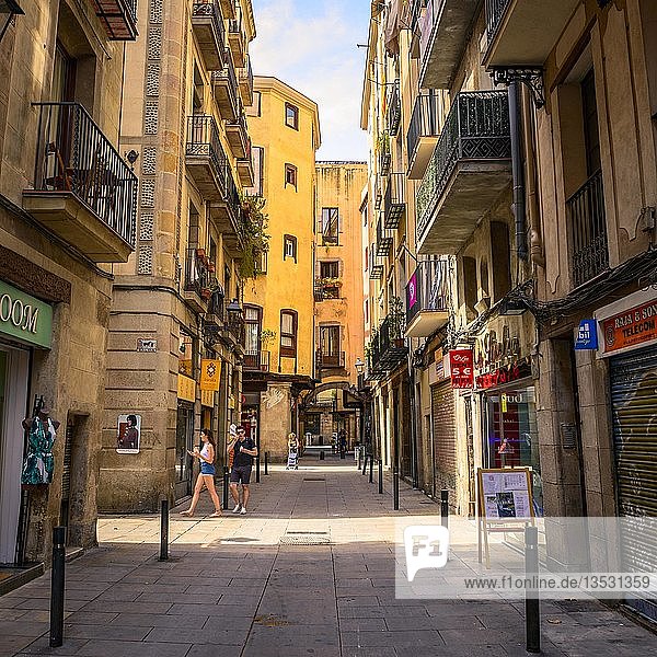 Enge Gasse  Gasse  zwischen Häusern  Barri Gòtic  El Gòtic  gotisches Viertel  Altstadt  Barcelona  Katalonien  Spanien  Europa