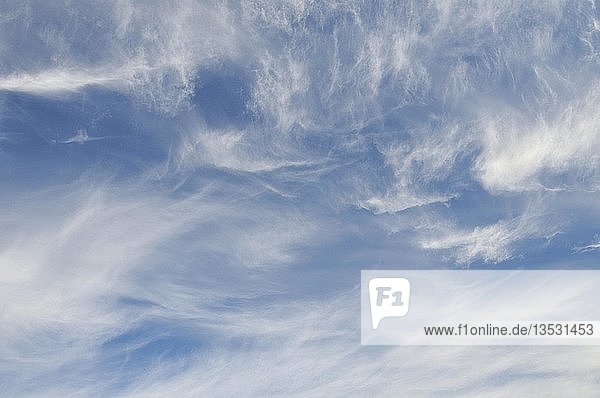 Cirruswolken auch Federwolken Schleierwolken Eiswolken auf einer Höhe von 8000 bis 12000 m