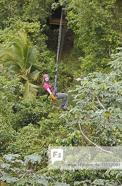 Frau  38 Jahre  fährt an einer Zipline durch den Dschungel  Provinz Samaná  Dominikanische Republik  Mittelamerika