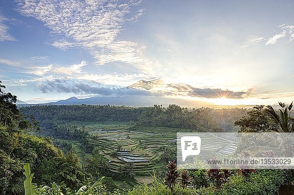 Blick auf Reisterrassen und den Vulkan Gunung Agung bei Sonnenaufgang  Rendang  Bali  Indonesien  Asien