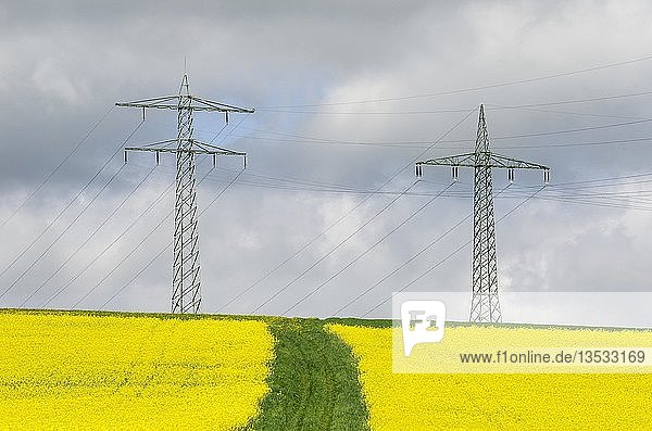 Weg  der zu zwei Strommasten führt  im Vordergrund ein Rapsfeld  Baden-Württemberg  Deutschland  Europa