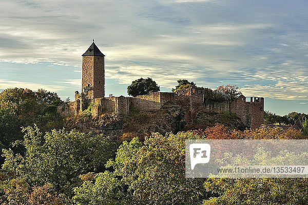 Ruine der Burg Giebichenstein  im Herbst  Morgenlicht  Halle an der Saale  Sachsen-Anhalt  Deutschland  Europa