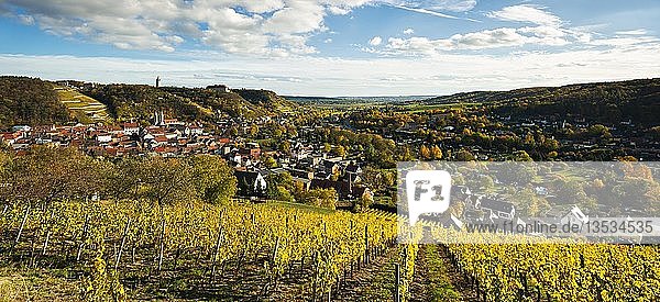 Blick über den Weinberg auf Freyburg  Herbst  Freyburg an der Unstrut  Sachsen-Anhalt  Deutschland  Europa