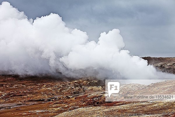 Wasserdampf im geothermischen Gebiet Gunnuhver  Reykjanes  Südwestisland  Island  Europa