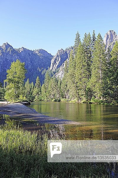 Typische Landschaft am Morgen  mit Merced River im Yosemite National Park  Kalifornien  USA  Nordamerika