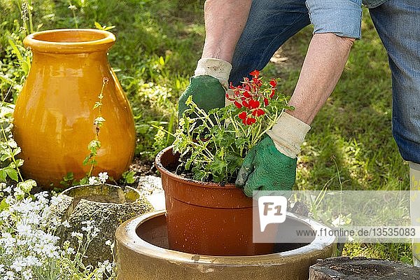 Symbolbild Gartenarbeit Frau pflanzt Pflanzen in Töpfe Frankreich Europa