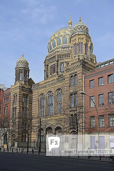 Neue Synagoge  Oranienburger Straße  Berlin  Deutschland  Europa