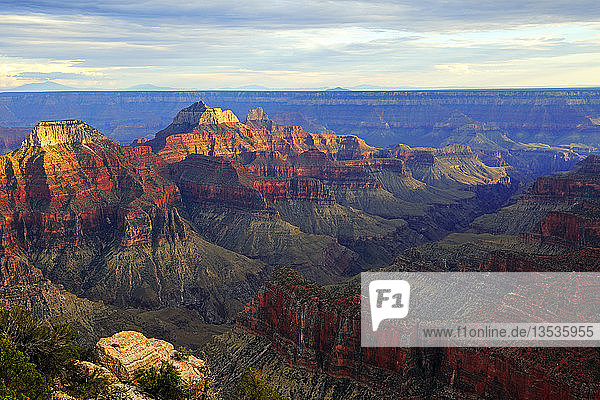 Grand Canyon North Rim im Abendlicht  Bright Angel Point  Arizona  USA  Nordamerika
